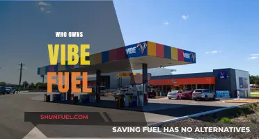 Unveiling the Ownership Mystery: Who Controls Vibe Fuel?