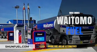 Unveiling the Ownership: A Deep Dive into Waitomo Fuel's Hierarchy