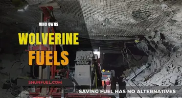 Unveiling the Ownership: Who Controls Wolverine Fuels?