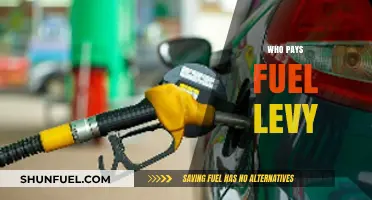 Understanding the Fuel Levy: Who Bears the Burden?