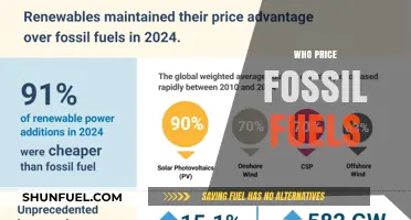 Unveiling the Complex Web: Who Really Prices Fossil Fuels?