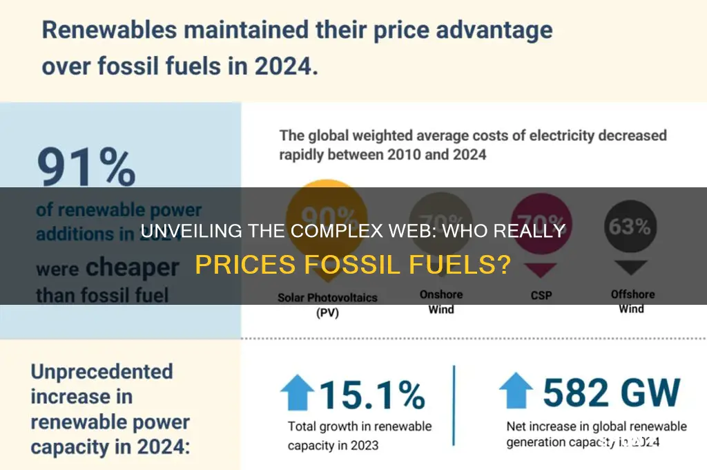 who price fossil fuels