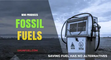 Unveiling the Key Players Behind Fossil Fuel Production and Distribution
