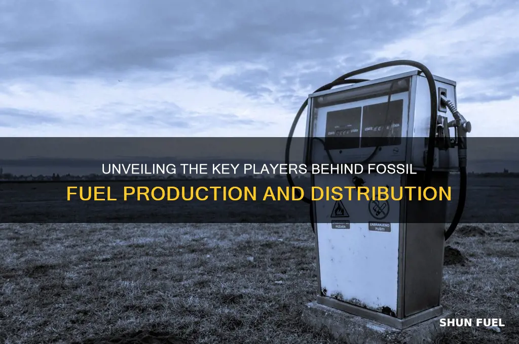 who produces fossil fuels