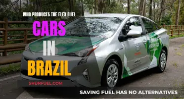 Brazil's Flex Fuel Car Producers: A Comprehensive Overview