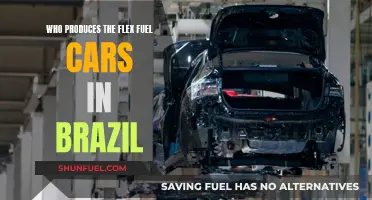 Flex Fuel Cars: Brazil's Top Producers and Their Innovations