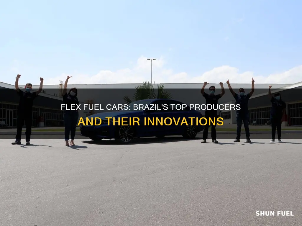 who produces the flex fuel cars in brazil