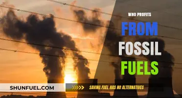 Unveiling the Profiteers: Who Benefits from Fossil Fuel Industries?