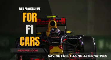 Unveiling the Power: Who Fuels F1's High-Octane Engines?