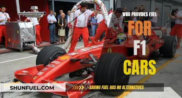 Fuel Behind the F1: Who Powers the Race?