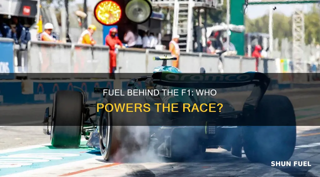 who provides fuel for f1 cars