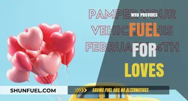 Who Provides Fuel for Love: Exploring the Sources of Passion