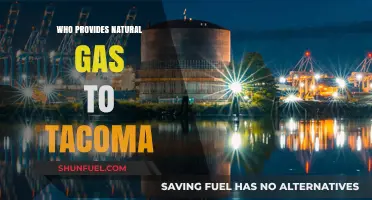 Exploring Tacoma's Natural Gas Suppliers: A Comprehensive Guide