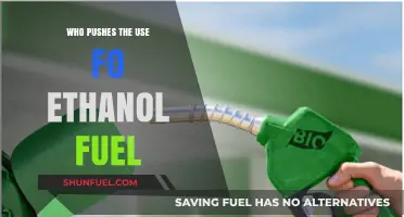 Ethanol Fuel Advocates: Key Players Driving Its Adoption and Growth