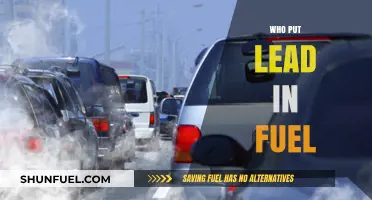 Unveiling the Culprits: Who Really Put Lead in Our Fuel?