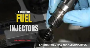 Rebuilding Fuel Injectors: Who Does It?