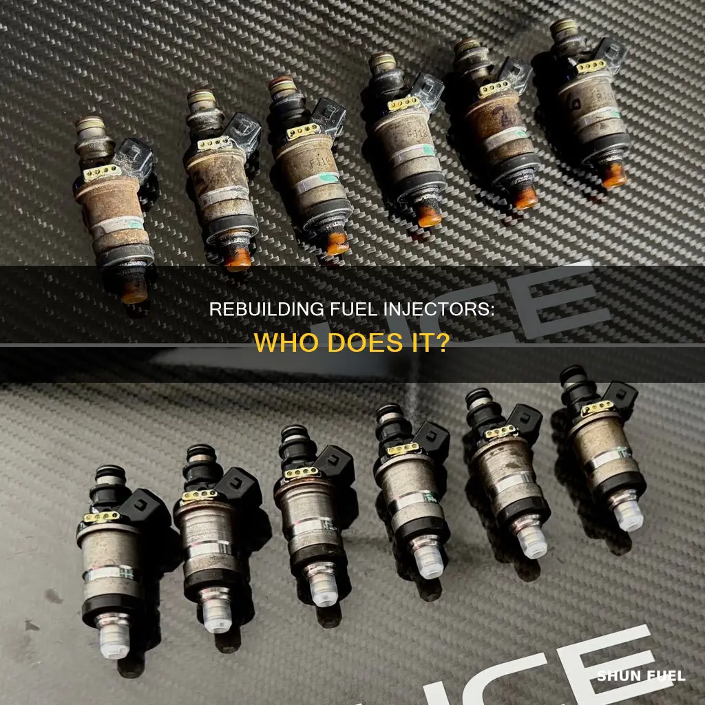 who rebuilds fuel injectors