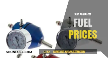 Exploring the Entities That Govern Fuel Pricing Dynamics