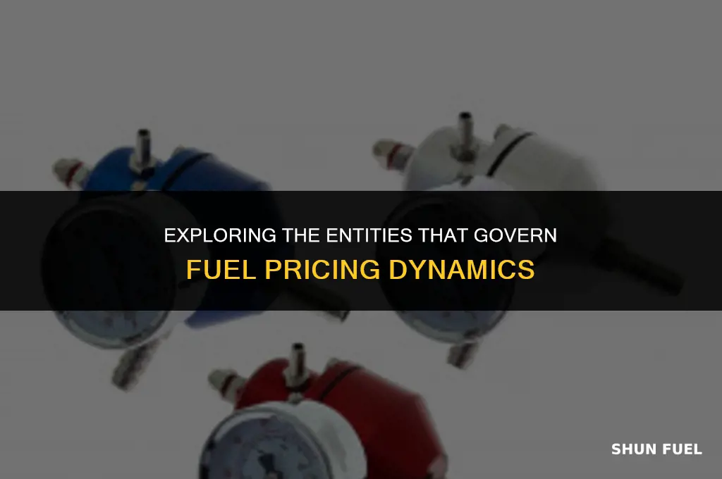 who regulates fuel prices