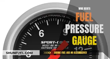 Renting a Fuel Pressure Gauge: When and Why?