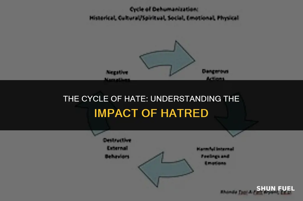 who said hate fuels hate