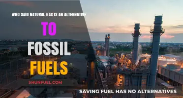 Is Natural Gas Truly an Alternative to Fossil Fuels? Debunking Myths