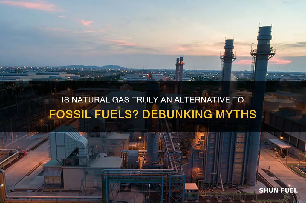 who said natural gas is an alternative to fossil fuels