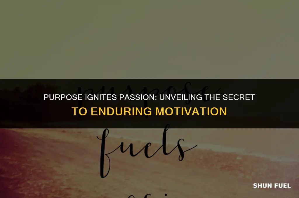who said purpose fuels passion