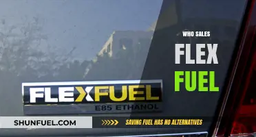 Exploring the Market: Who Sells Flex Fuel and Why It Matters