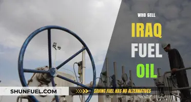 Unveiling the Global Players in Iraq's Fuel Oil Market