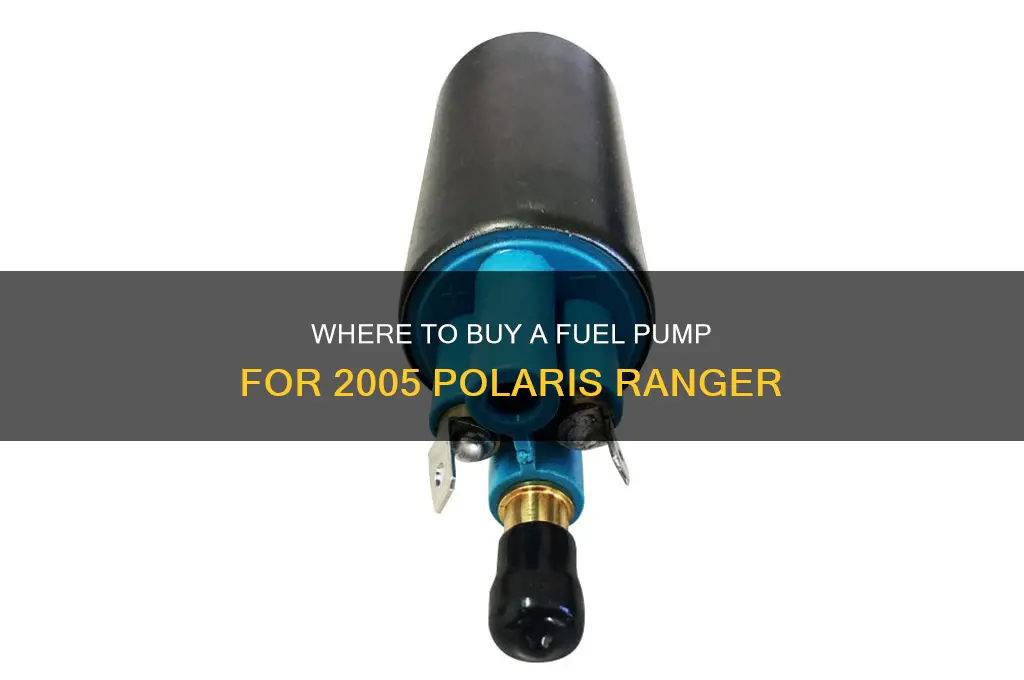 who sells a fuel pump for 2005 polaris ranger
