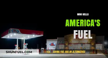 Exploring the Key Players in America's Fuel Market