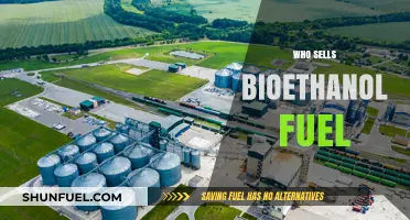 Exploring the Market: Who Sells Bioethanol Fuel and Why It Matters