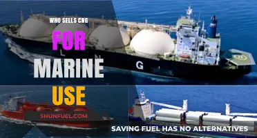 Exploring Suppliers of CNG for Marine Applications: A Comprehensive Guide