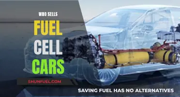 Fuel Cell Cars: Who's Selling and Where?