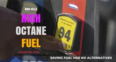 Exploring the High-Octane Fuel Market: Who's Leading the Charge?