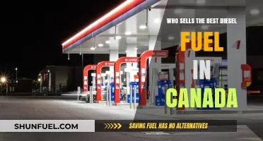 Top Diesel Fuel Suppliers in Canada: Quality and Performance Compared