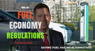 Exploring the Origins of Fuel Economy Regulations: A Comprehensive Guide