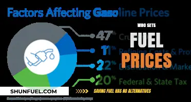 Understanding Fuel Pricing: Who's Behind the Pump's Cost?