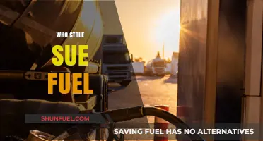 The Mysterious Case of Sue's Stolen Fuel: An Investigative Report