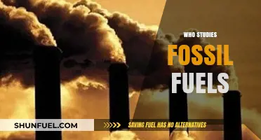 Exploring Fossil Fuels: Scientists and Experts Behind the Research