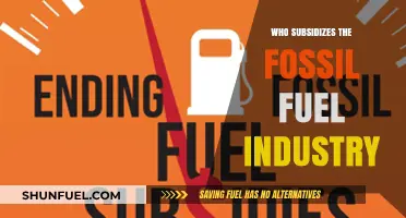 Unveiling the Hidden Subsidies Behind the Fossil Fuel Industry