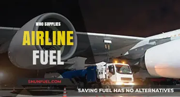 Exploring the Global Players in Airline Fuel Supply