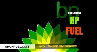 Exploring BP's Fuel Supply Chain: Partners and Sources Unveiled