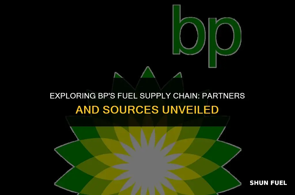 who supplies bp fuel