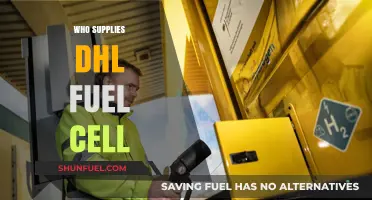 Powering Logistics: Unveiling DHL's Fuel Cell Suppliers