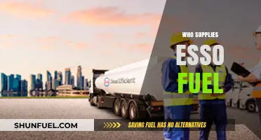Exploring the Global Suppliers of Esso Fuel