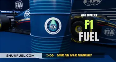 Powering the Grid: Unveiling Formula 1's Fuel Suppliers