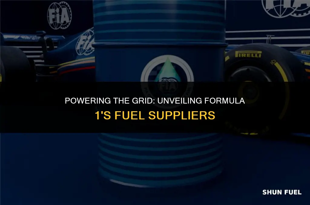 who supplies f1 fuel