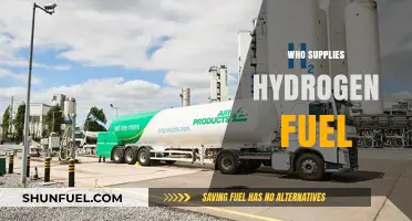 Exploring the Key Players in the Hydrogen Fuel Supply Chain